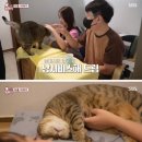 자연안마원 이미지