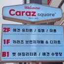 몽몽이-펫피플 미용실 | 송파잠실 송리단길 브런치 카페 맛집 애견 동반 카페 추천 카라스 스케어