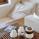 스테이 띠앗 이미지