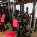 라반휘트니스 이미지