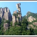 (주)천도국제