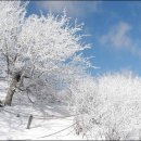 금수강산헬스 이미지