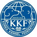 논산애견미용학원 이미지