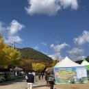 문경새재에서 놀기~사과축제 이미지