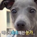 월