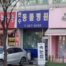 만수동물병원 | 인천 만수동 동물병원 만수동물병원 위치 오는길 후기