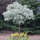 생명농장 이미지