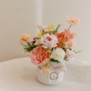 케이크플레리