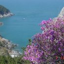 욕지횟집 이미지