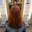 헤어뉴스(HAIR NEWS)