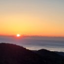 팜스하우스 이미지