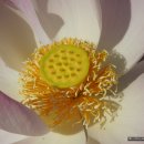 주천중학교 이미지