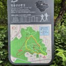 봉천동 마애미륵불 좌상 | 청룡산-서울둘레길-봉천동 마애미륵불좌상(2025.5.24.)