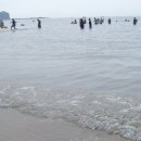 파도리 해수욕장 이미지