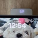 중국진한의원 | 송파 다이어트 한의원 3kg 감량 성공! 가뿐하게 다녀온 일본 중국 여행 후기