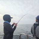 홍성배 | 고고씽호에서 참돔 세운 날, 인생고기 78cm 잡은 내돈내산 솔직 후기!