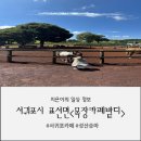 가구목장 | 제주도 감성카페 추천, 단연 최고였던 서귀포 목장카페 밭디 (BATTI) 후기