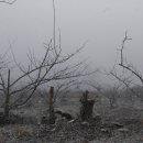 윤일농장 이미지