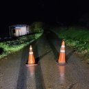 금강송면사무소 이미지