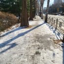 분당메디본신경외과의원 이미지