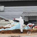 성환농장 이미지