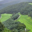 ㈜엽록소 이미지