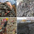 내포그린 이미지