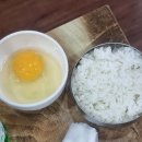 기수백서 이미지