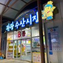선복호활어