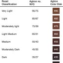 예가체프 이미지