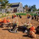 소중농원 이미지