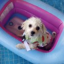 올라펜션 이미지