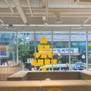 KNOLLO(놀로) | 강남 놀로스퀘어 카페 knollo 멍양식 가격 급여 후기