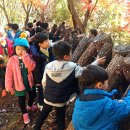 가학산자연휴양림 유아숲체험원 이미지
