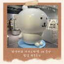 [부산/서면] 나가노마켓 in 부산 팝업 방문후기 농담곰 담곰이 한국한정 컬러곰