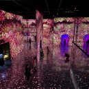 멍문(moon) | 《아르떼뮤지엄 부산: PINK MOON》 전시 후기