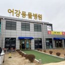 어강동물병원