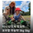 제주미니향