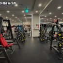 헬스보이짐필라걸홍대점 이미지