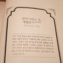 애월류가 이미지