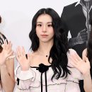 채영 카카오 검색결과