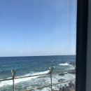 머지고래 | 묵호 여행 2월 혼여행 | 카라멜스테이션, 콩키, 미유키말차, 어달빛스테이, 이야기고래