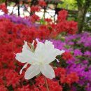 대연농원밥집 이미지