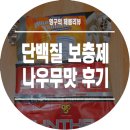 가죽자파리 | 나우무맛 단백질 보충제 :: 솔직한 맛 후기!
