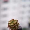 하늘빛바다 이미지