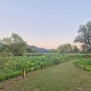 양평-양서-양서-03 이미지