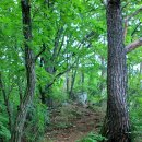 영월 구룡산 된불데기산 산행 (2014.7.19) 이미지