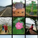 해숙농장 | 서울여상 후배 김종두의 무의도 실미원 방문후기