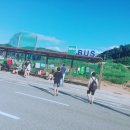 자라섬게스트 하우스 | 가평펜션/게스트하우스, 자라섬게스트하우스 숙박 후기