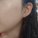 브리스맨